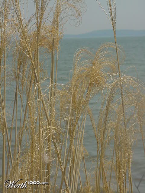 Photography by tweetybirdfan222