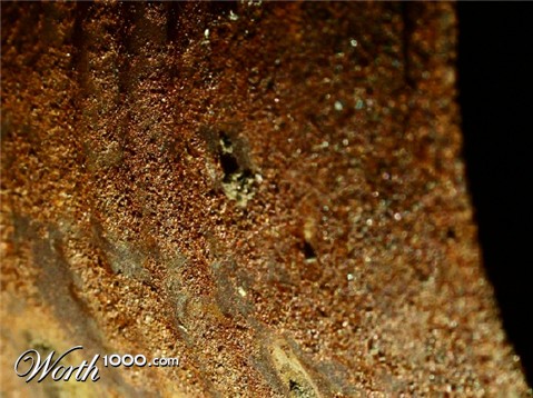 Photography by mmc9496