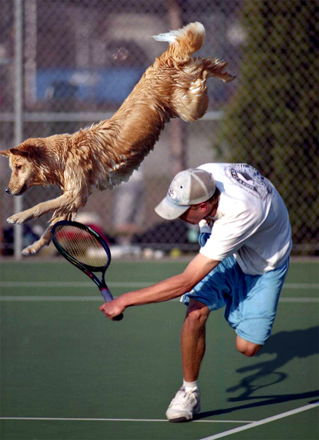 Photoshop Design by ozplasmic for DesignCrowd (Community Contests) | Design #9065387