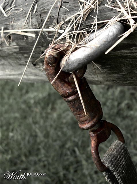 Photography by Scuzem