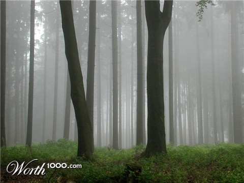 Photography by skorson