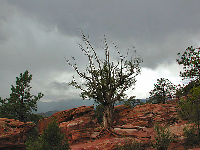 Fotografie von DiffDrummer für DesignCrowd (Community Contests) | Design #9074285