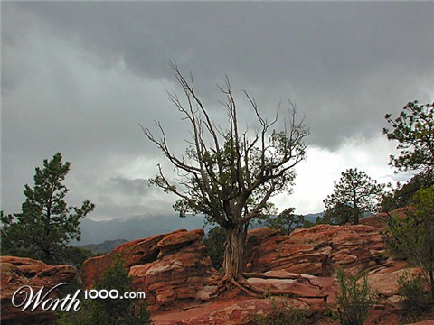 Photography by DiffDrummer