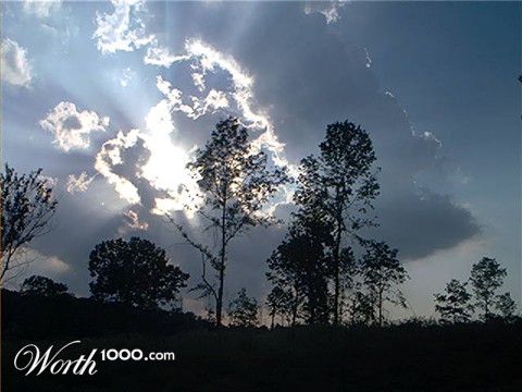 Photography by mudcat