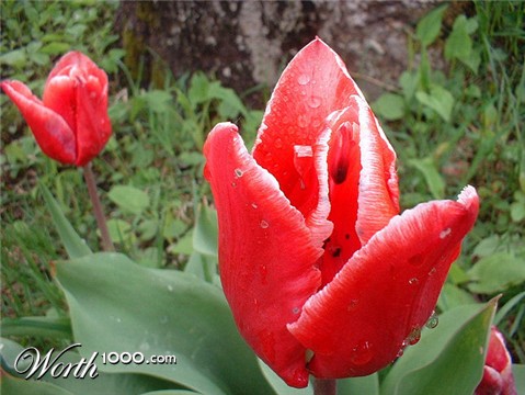 Photography by angel2kiss