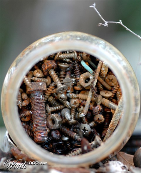 Photography by koalachimbo