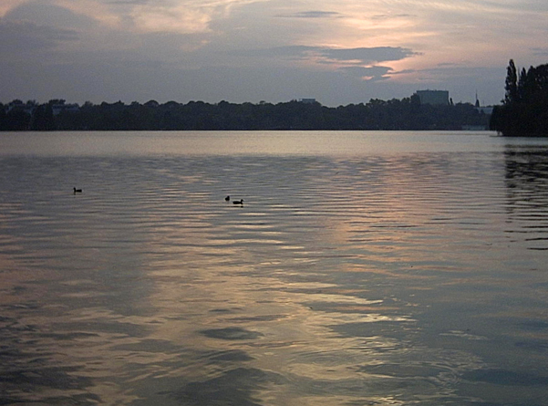 Photography by A. Luiza for DesignCrowd (Community Contests) | Design #9074359