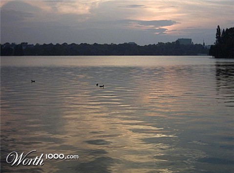 Photography by A. Luiza