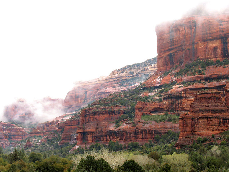 Photographie par TampaDroid pour DesignCrowd (Community Contests) | Design #9074301