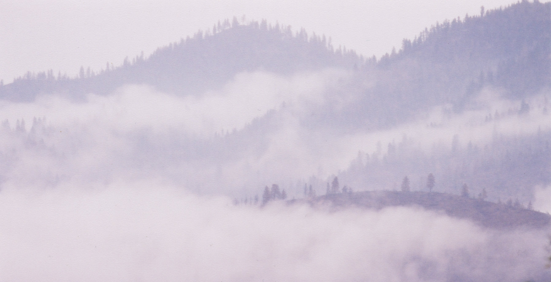 Photographie par bevissimo pour DesignCrowd (Community Contests) | Design #9074393