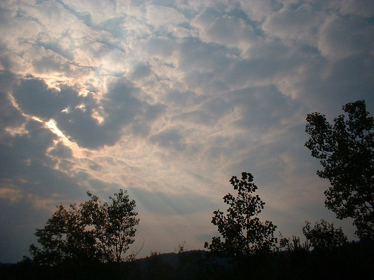 Photography by angel2kiss for DesignCrowd (Community Contests) | Design #9074363