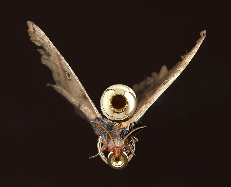 Photoshop Design by modigliani for DesignCrowd (Community Contests) | Design #9076938