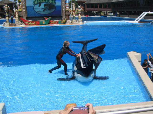 Photoshop Design by adribejarano for DesignCrowd (Community Contests) | Design #9076926