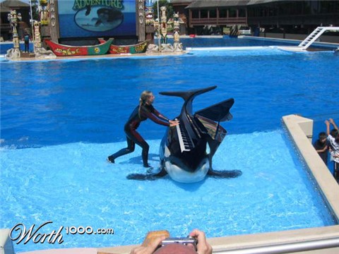 Photoshop Design by adribejarano