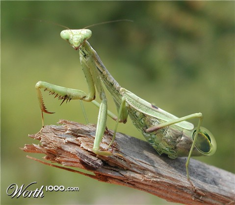 Photoshop Design by reneehiggs