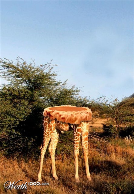 Photoshop Design by modine