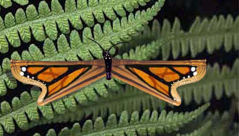 Photoshop Design by 2zRescue for DesignCrowd (Community Contests) | Design #9077132