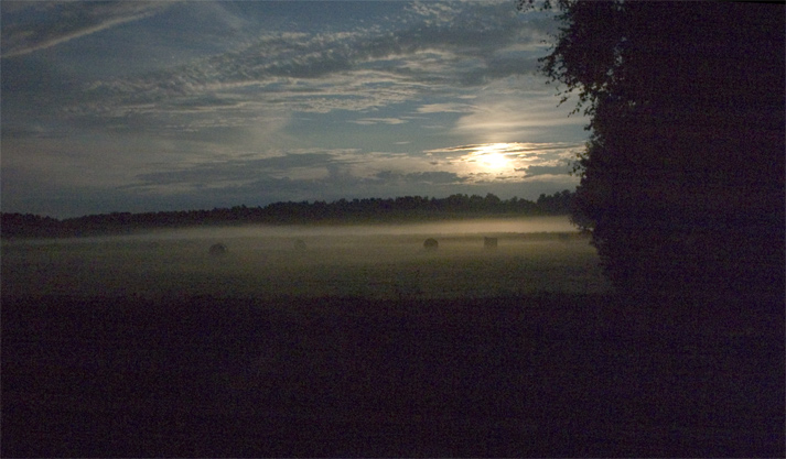 Photography by StefanS for DesignCrowd (Community Contests) | Design #9074370