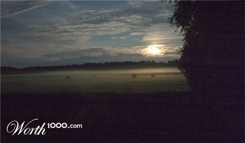 Photography by StefanS