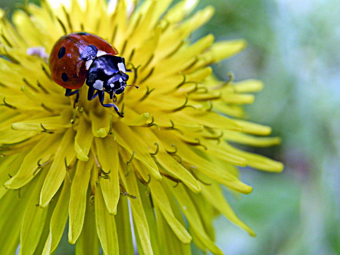 Photography by mzmzmzmz for DesignCrowd (Community Contests) | Design #9074831