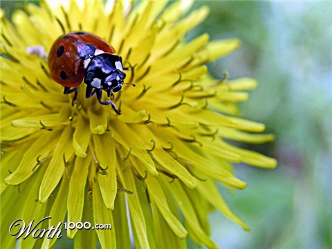 Photography by mzmzmzmz