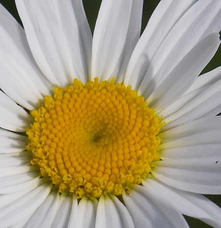 Photography by Dragon60 for DesignCrowd (Community Contests) | Design #9074818