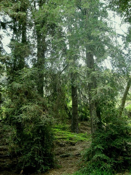 Photography by stayceejae for DesignCrowd (Community Contests) | Design #9074401