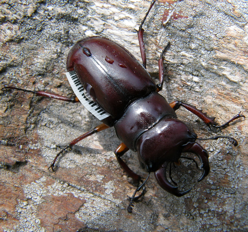 Photoshop Design by Odessa for DesignCrowd (Community Contests) | Design #9077004