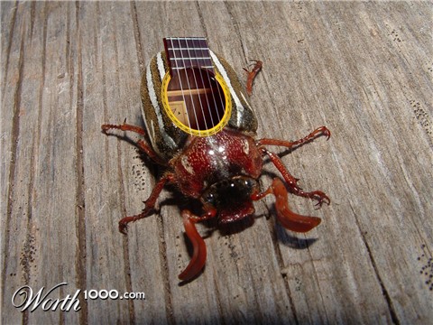 Photoshop Design by redsharkbait