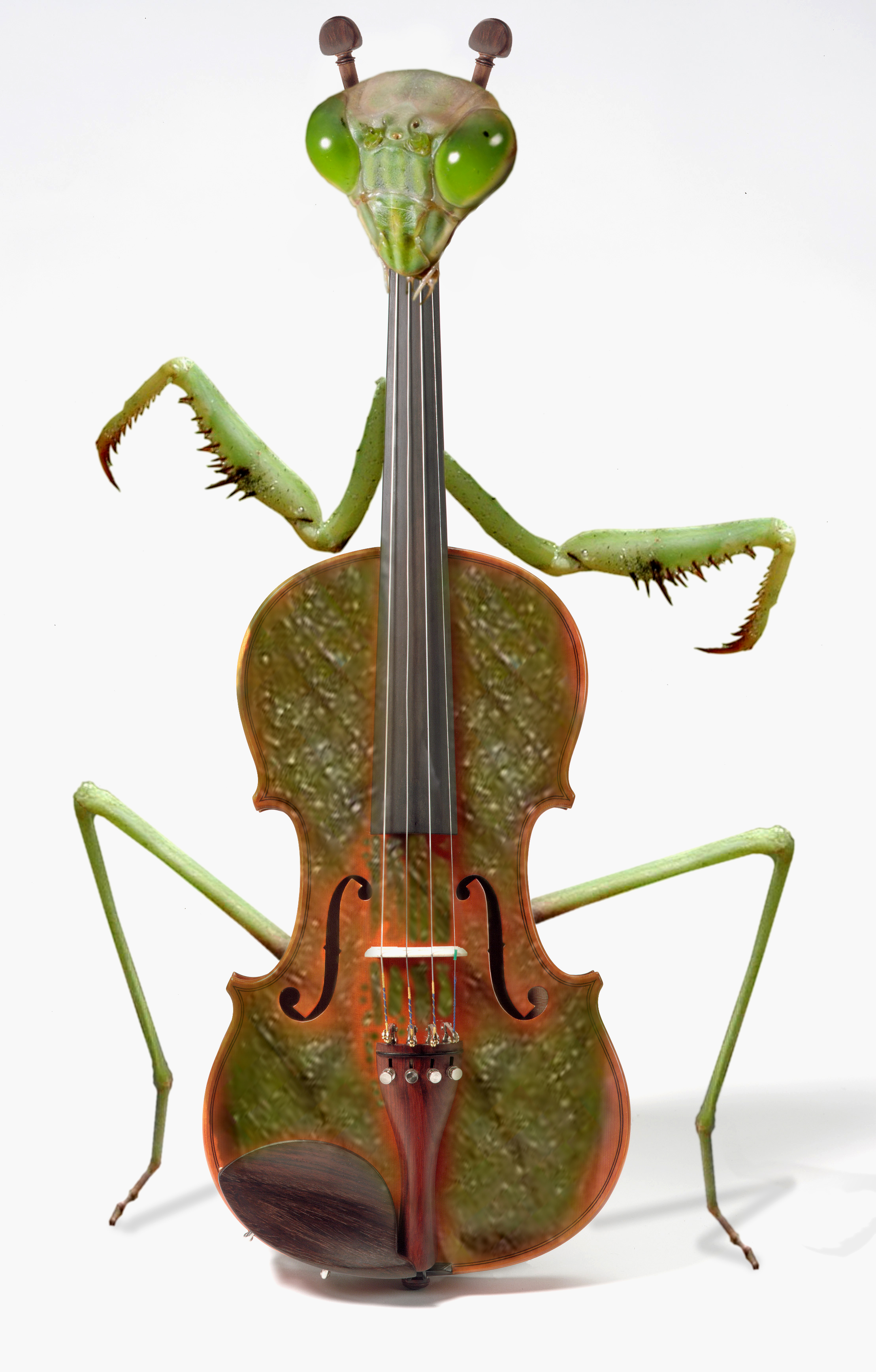 Photoshop Design by Carramrod for DesignCrowd (Community Contests) | Design #9076997