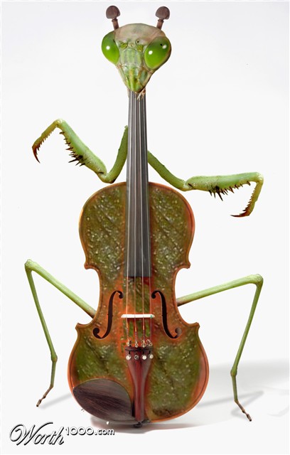 Photoshop Design by Carramrod