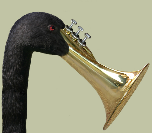 Photoshop Design by dollyllama for DesignCrowd (Community Contests) | Design #9076988