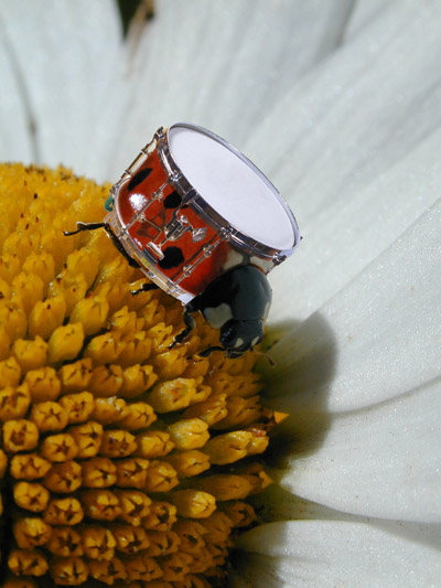 Photoshop Design by Crystal211 for DesignCrowd (Community Contests) | Design #9077043