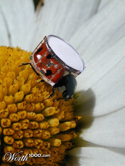 Photoshop Design by Crystal211