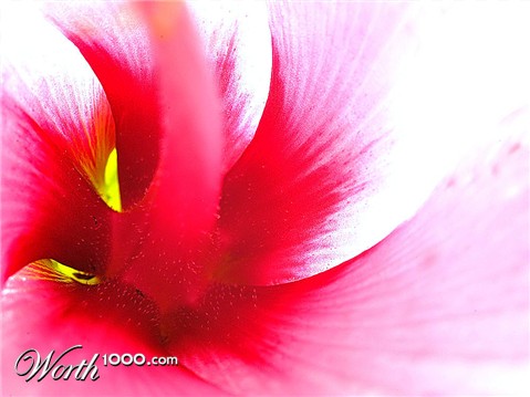 Photography by josephzl