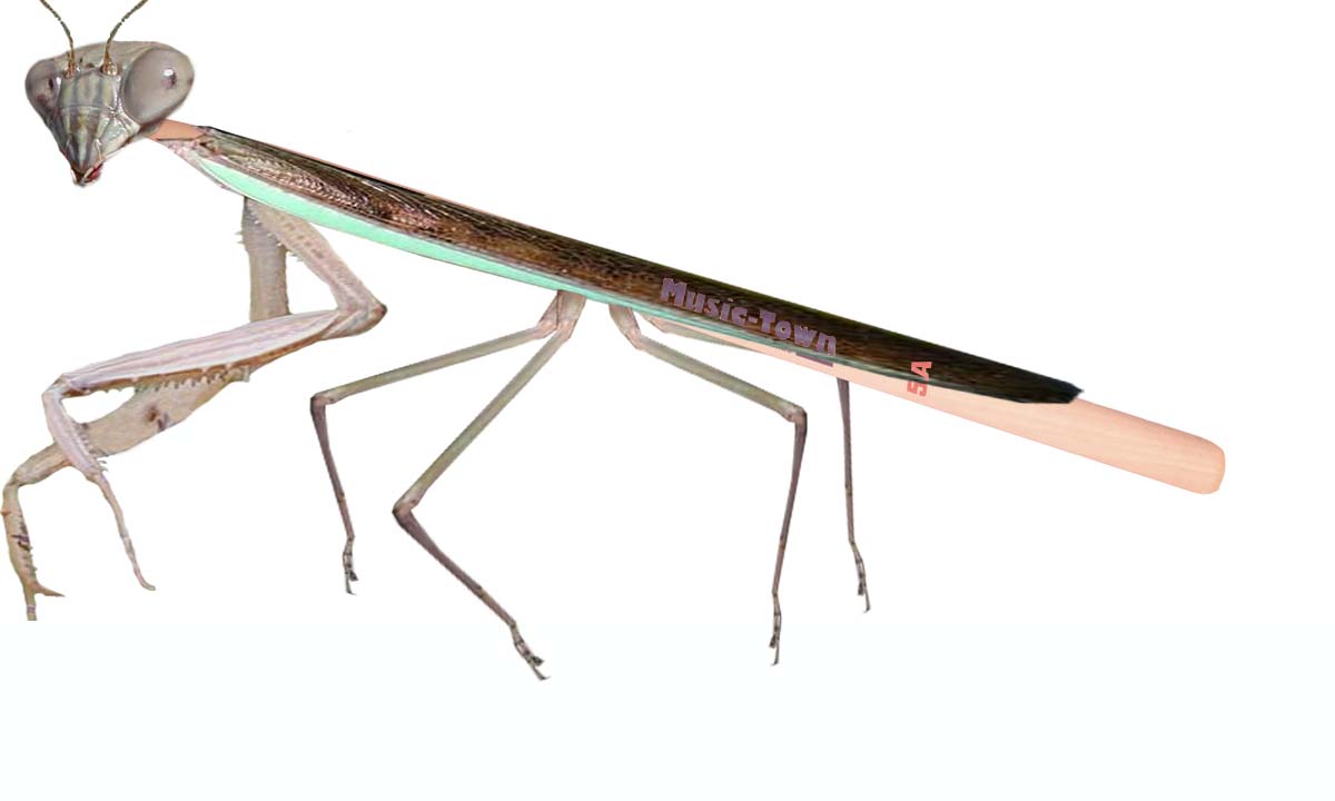 Photoshop Design by pezzer66 for DesignCrowd (Community Contests) | Design #9077236