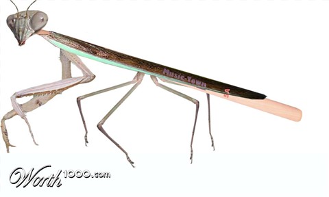 Photoshop Design by pezzer66