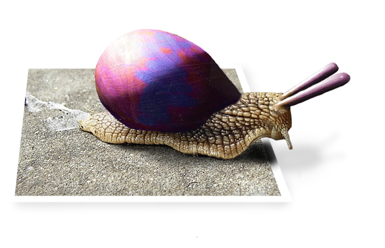 Photoshop Design by pmpinilis for DesignCrowd (Community Contests) | Design #9077240