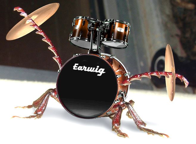 Photoshop Design by digammo for DesignCrowd (Community Contests) | Design #9077229