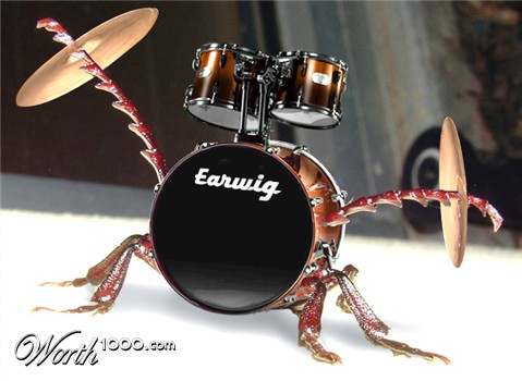 Photoshop Design by digammo