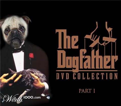 Photoshop Design by eSkiSo