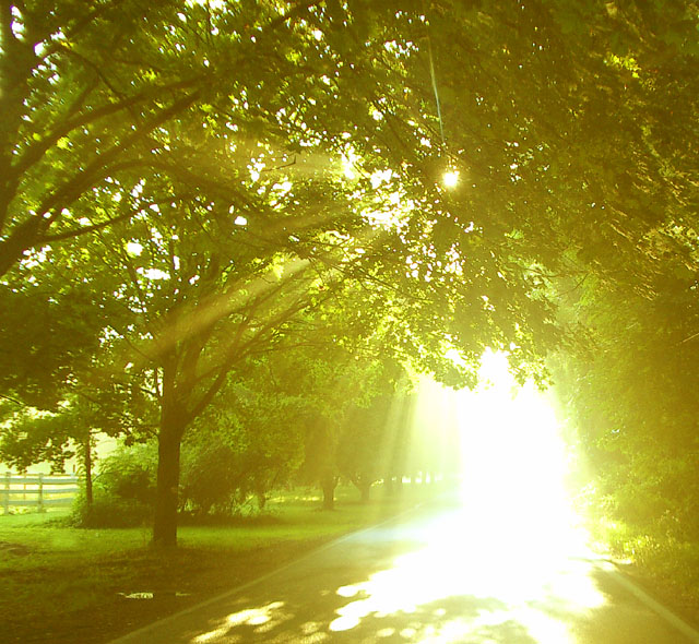 Photography by LADPUPMOE for DesignCrowd (Community Contests) | Design #9074398