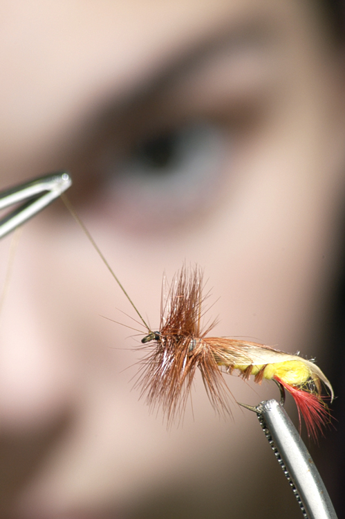 Photography by Fishcat for DesignCrowd (Community Contests) | Design #9074852