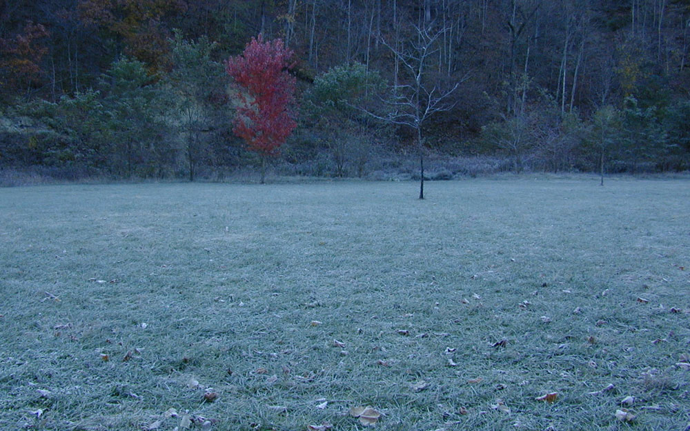 Photography by dsblack for DesignCrowd (Community Contests) | Design #9074411