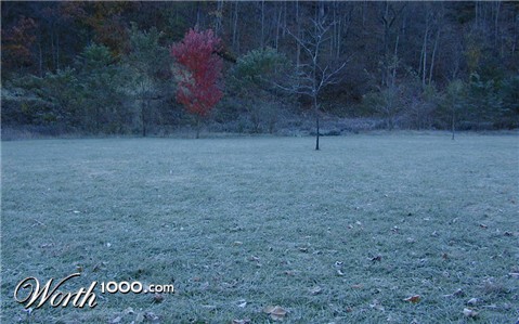 Photography by dsblack