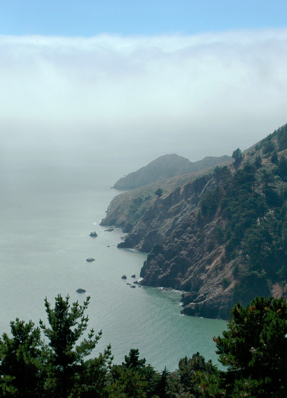 Photography by koalachimbo for DesignCrowd (Community Contests) | Design #9074416