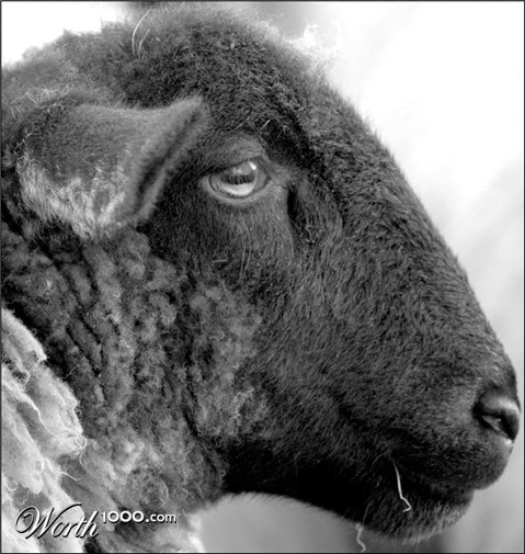 Photography by Redbull_UK