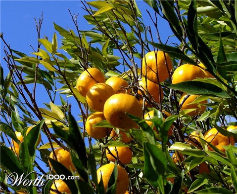 Photography by ADROALDO