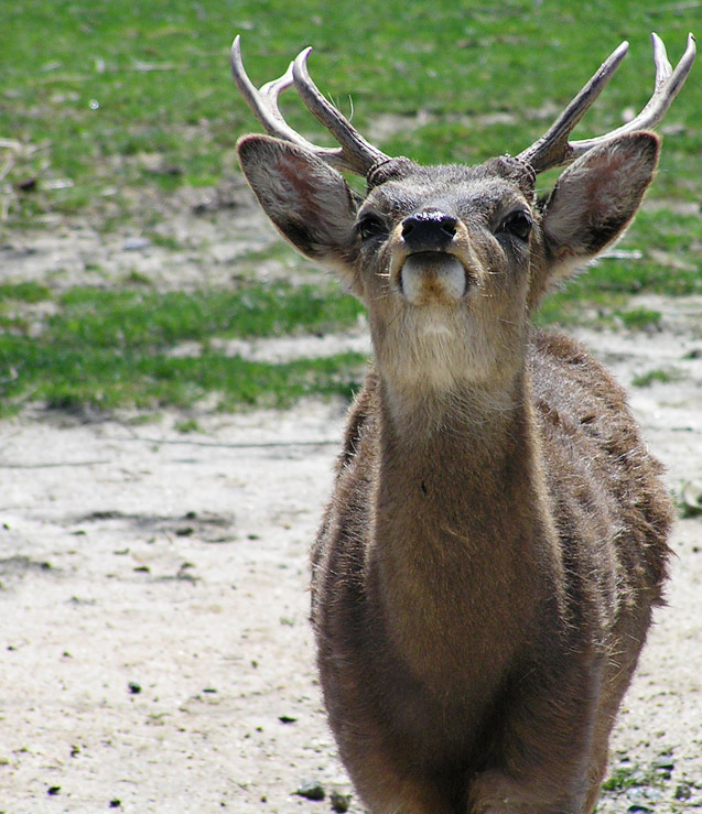 Fotografie von crgnjul für DesignCrowd (Community Contests) | Design #9079601