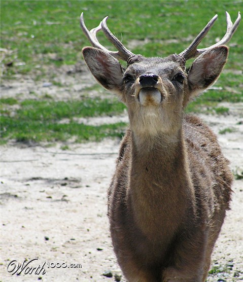 Photography by crgnjul